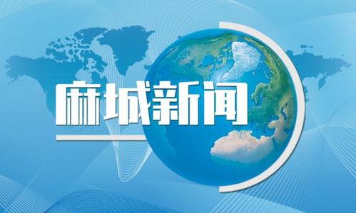 黄埔区麻城新闻头条,聚焦最新动态，共话发展新篇章